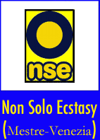 NSE mini